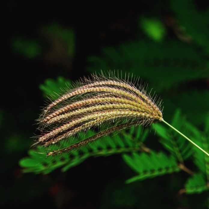 B2F857DC-7EF6-46B2-A4F3-E7F4E6E0DE47